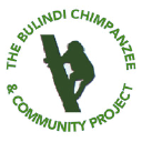 bulindichimpanzees.co.uk