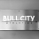 Bull City Gymnastics logo
