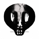 BV  Avatar