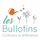 bullotins.com