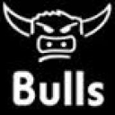 Bulls Capital