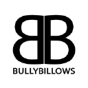 Logo for bullybillows.com