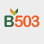 B503 logo