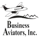 businessaviators.com