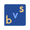 Business Valuation Specialists logo