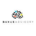 buxusadvisory.com