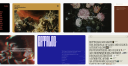 Buydiseasesoftheear Wordpress