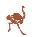 Company logo for buypoco.com