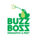 buzzboss.com