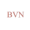 Bvn Financial Solutions logo