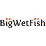BWF Hosting logo