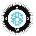 bwise-s.com