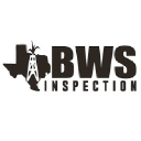 bwsinspection.com