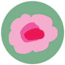 cabbagesflowers.com.au