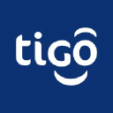 taiga-consulting.com