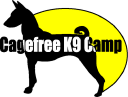 CageFree K-9 Camp