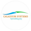 caladium.in