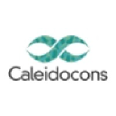 caleidocons.com