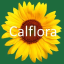 calflora.org