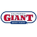 calgiant.com