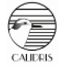 calidris.org.co