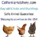 California Hatchery