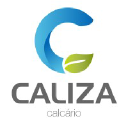 calizacalcario.com.br