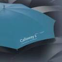 callawayinsurance.co.uk