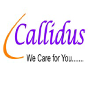 calliduslabs.com