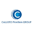 callisto-consulting.co.uk