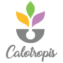 calotropis.in