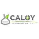 caloyoil.com