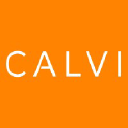 calvi-insight.com