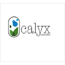 calyxcommodities.com