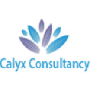 calyxconsultancy.com