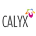 calyxcorp.co.in