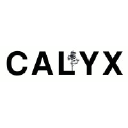 calyxdesigngroup.com