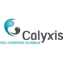 calyxis.fr