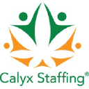 calyxstaffing.com
