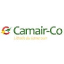 Best Intl Air Carrier logo