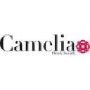 cameliabeauty.com