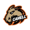 camell.com.br