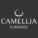 Camellia Sinensis