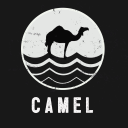 camelskischool.com