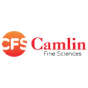 camlinfs.com