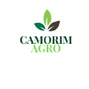 camorimagro.com.br