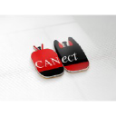 canect.co.uk