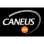 Caneus International logo
