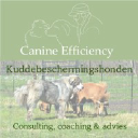 canineefficiency.com