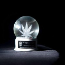 cannabisbusinessawards.com